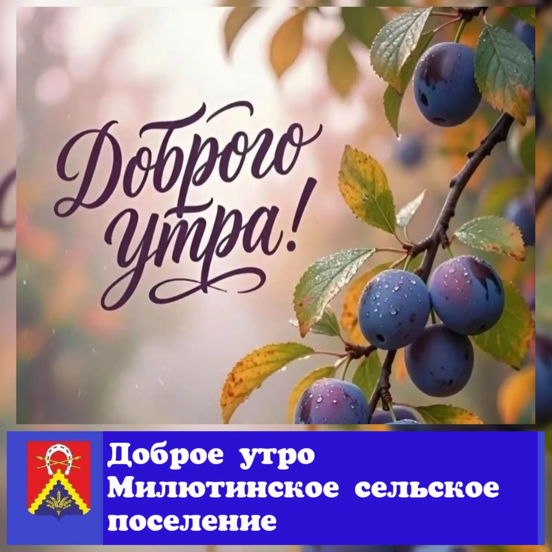 ☀️ Пусть этот день начнётся с улыбки, чашечки ароматного чая или кофе и приятных мыслей...