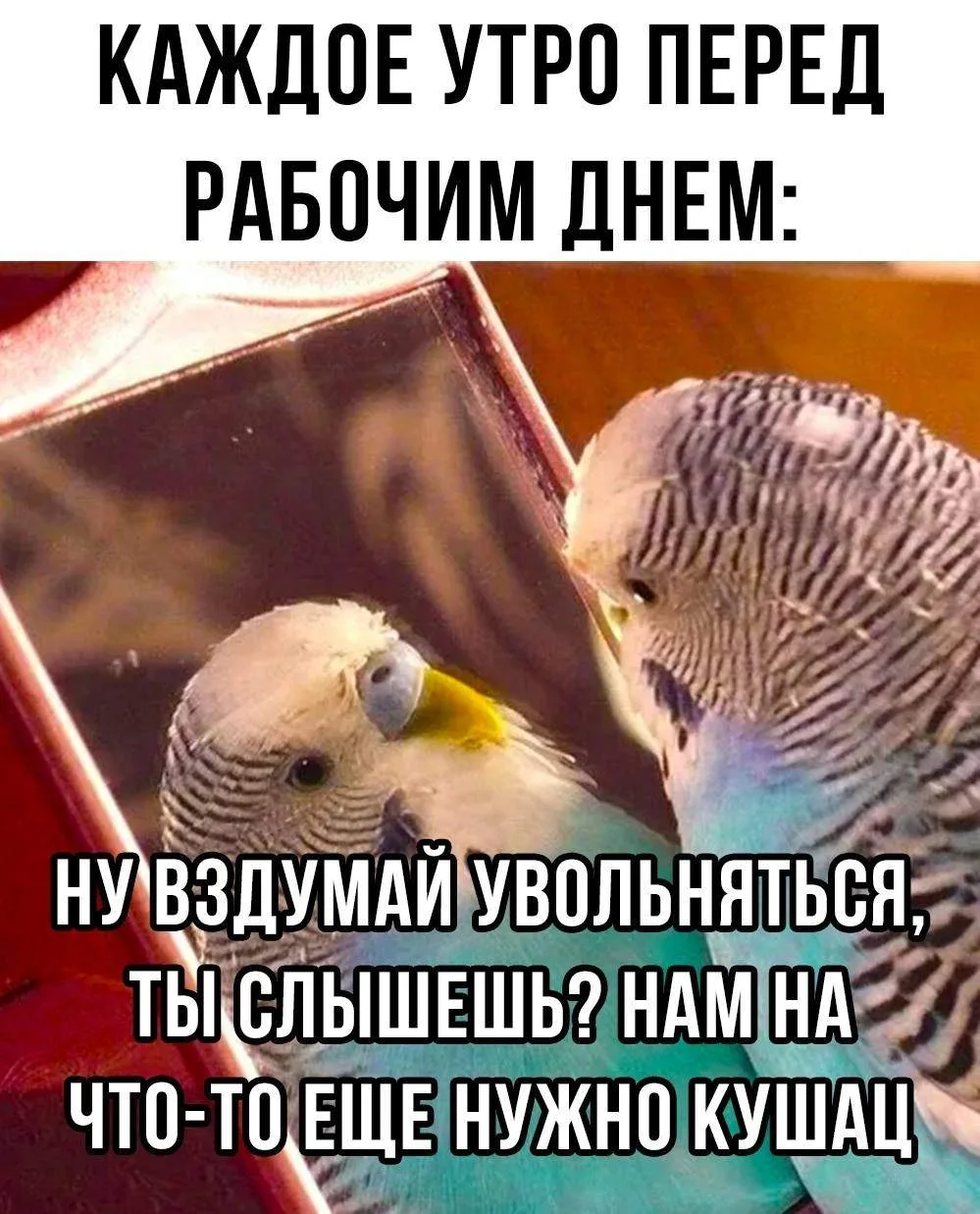 ❗️ЛУЧШИЙ КАТАЛОГ КАНАЛОВ  В MAX ❗️