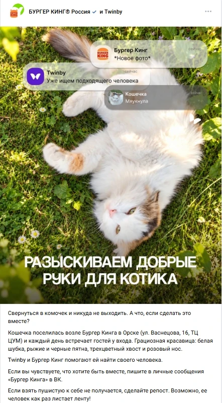 «Бургер Кинг» заявил, что нашел кота, которого вышвырнули из заведения в Орске, но авто...