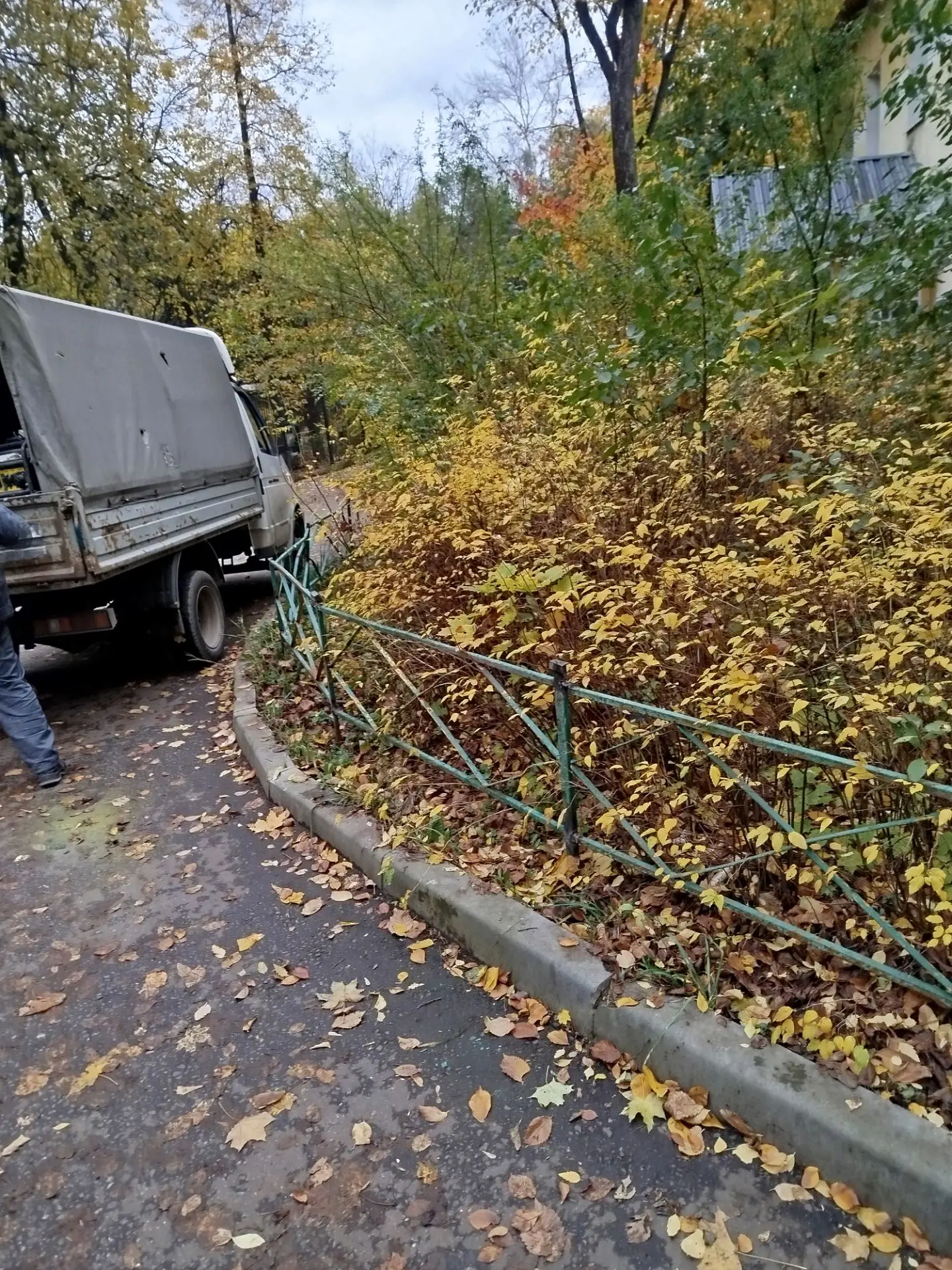 Несмотря на сезон дождей и листопад, продолжаем следить за состоянием обслуживаемых тер...