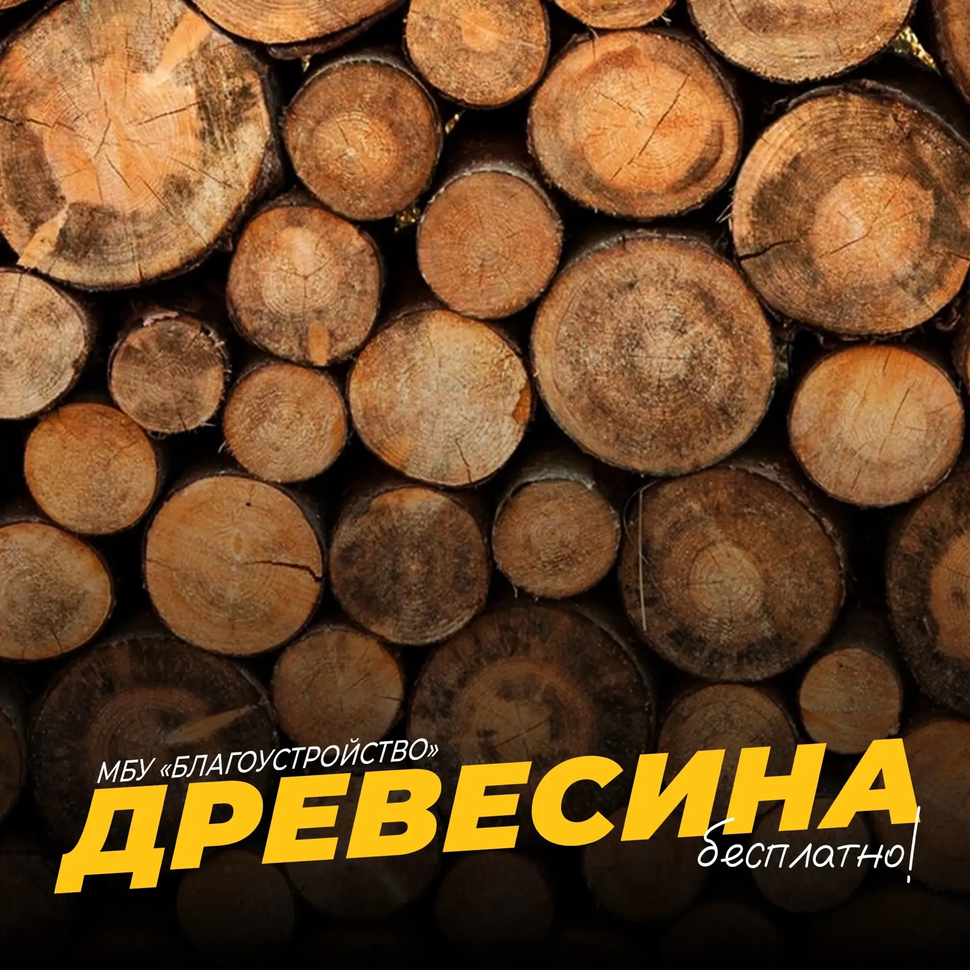 🌲 Для жителей Сысертского округа есть хвойный лес для личных нужд. Бесплатно!