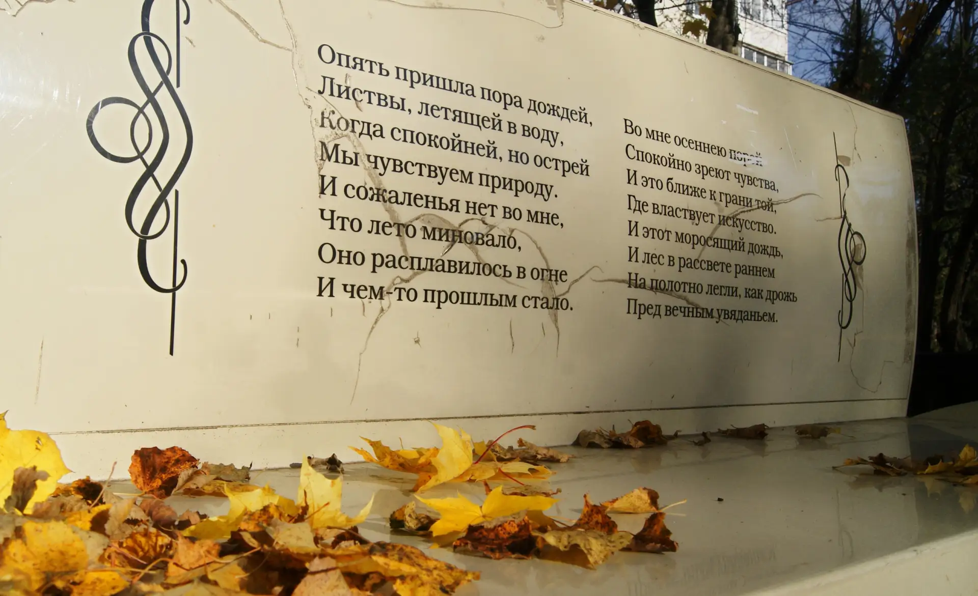 Наша осень ... Д-град природа 2026.