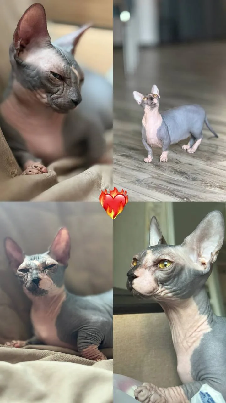 Сёмыч ♥️