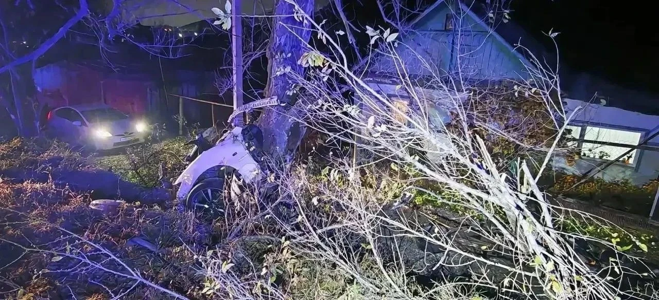 🤯 В Приморье автомобиль разорвало пополам от удара о дерево.