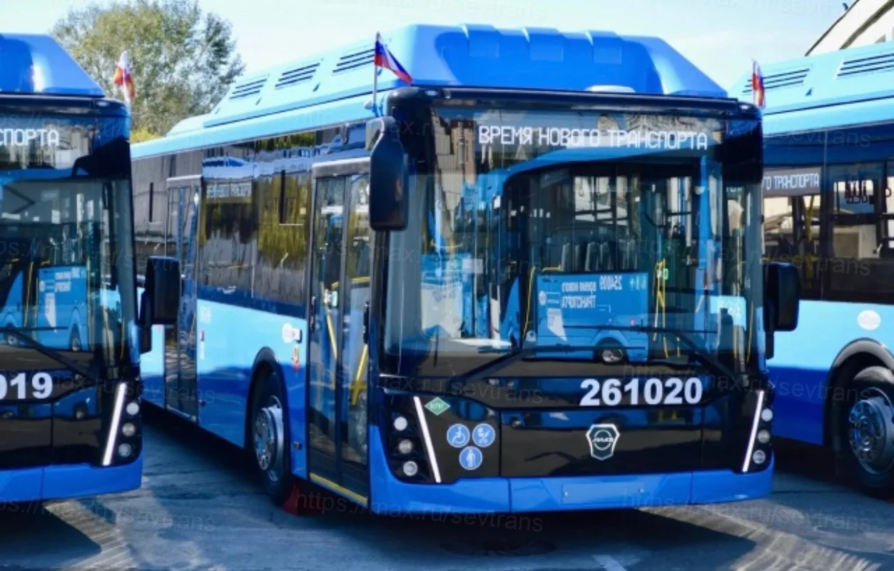 🚍 12 новых автобусов получил Севастополь с начала года