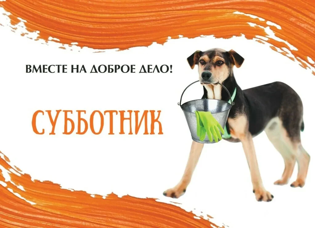10 октября приглашаем всех на субботник - уборка территории. Ждём всех желающих к 11.00...