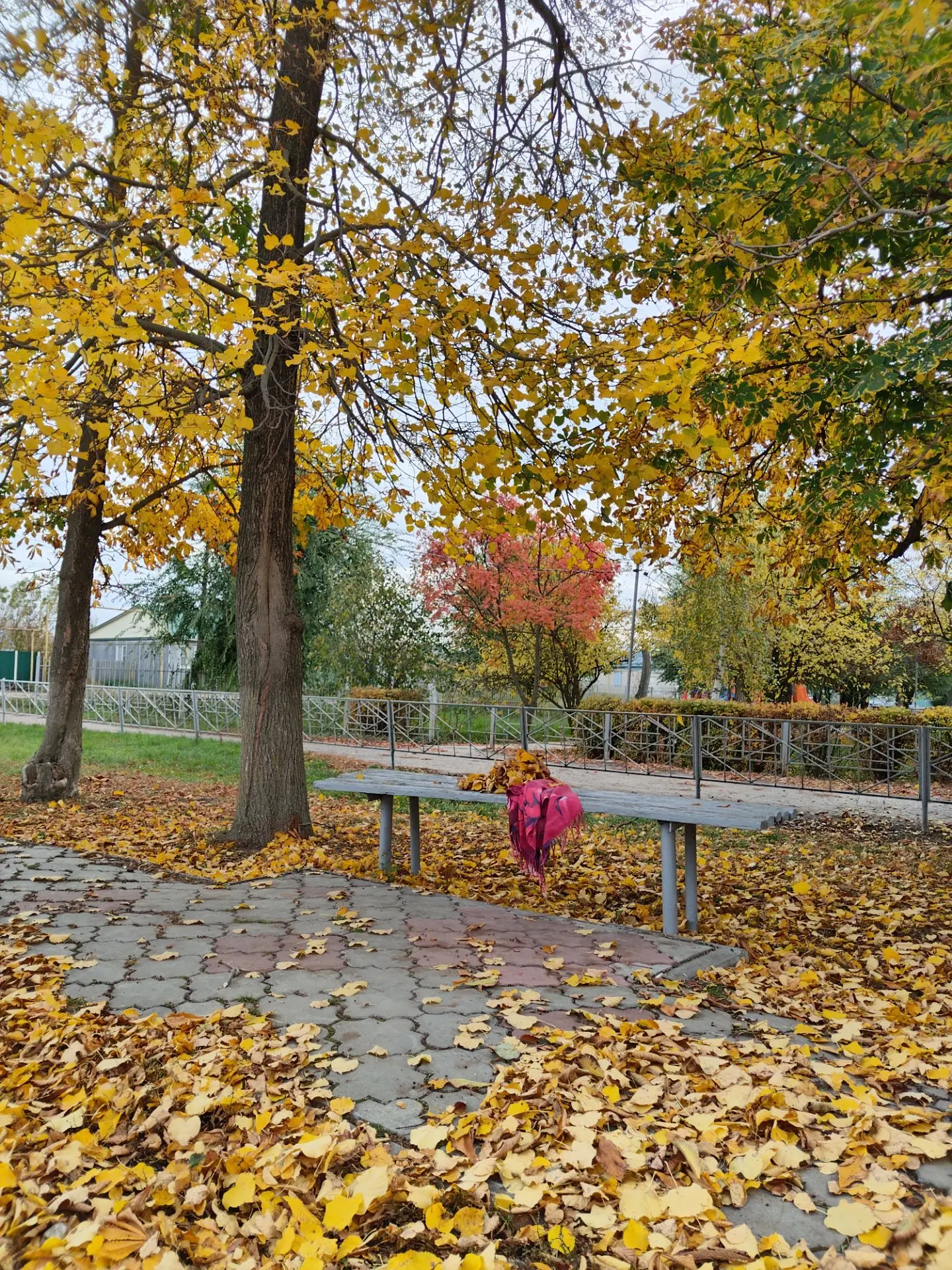🍂 Тёплая осень — это когда хочется замедлиться и просто любоваться миром.