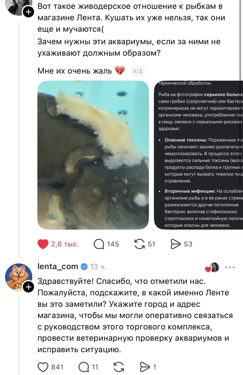 Покупатели пожаловались на состояние живой рыбы в «Ленте» на Маршала Жукова