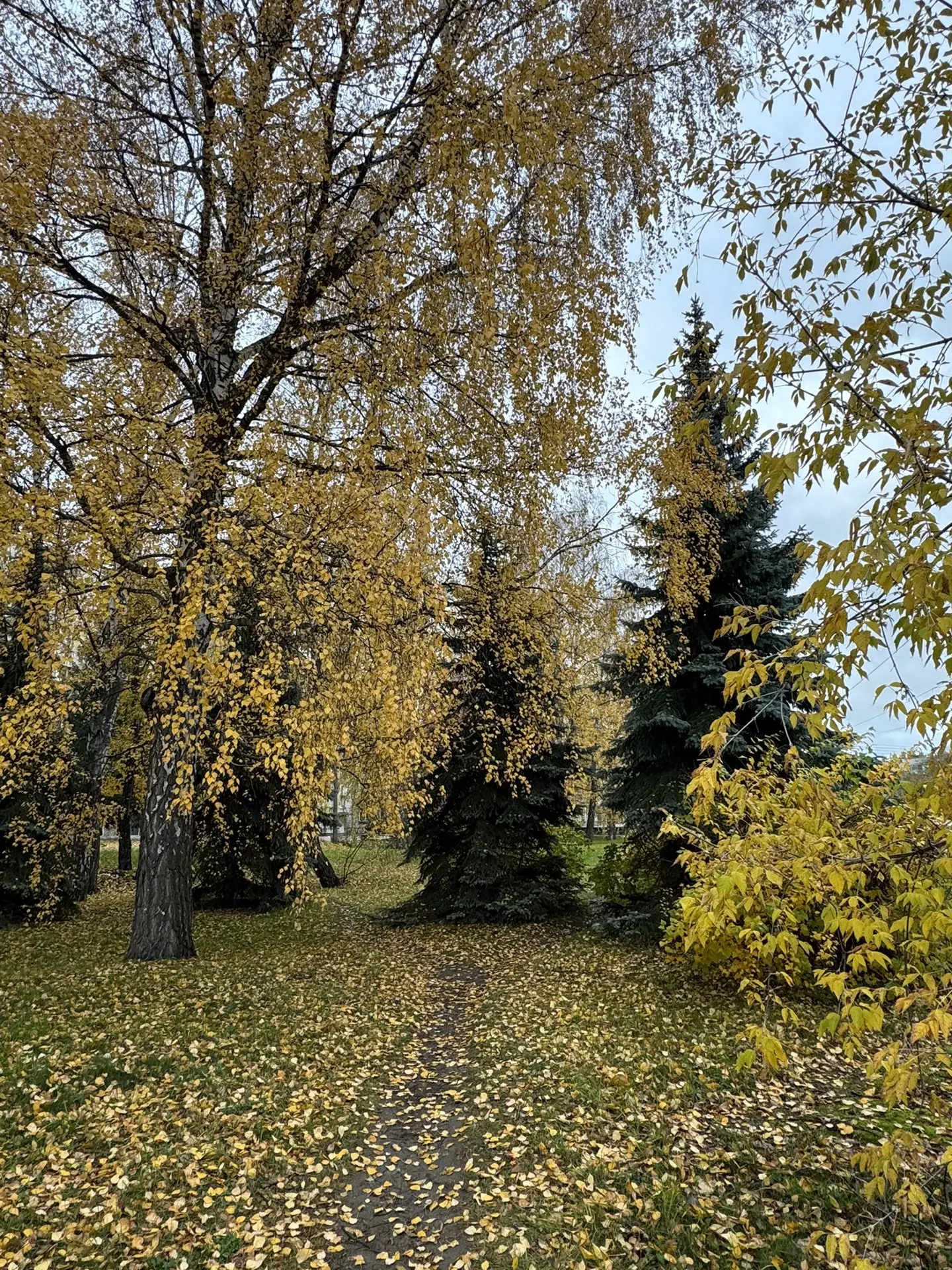 Всем доброе утро👋🏻