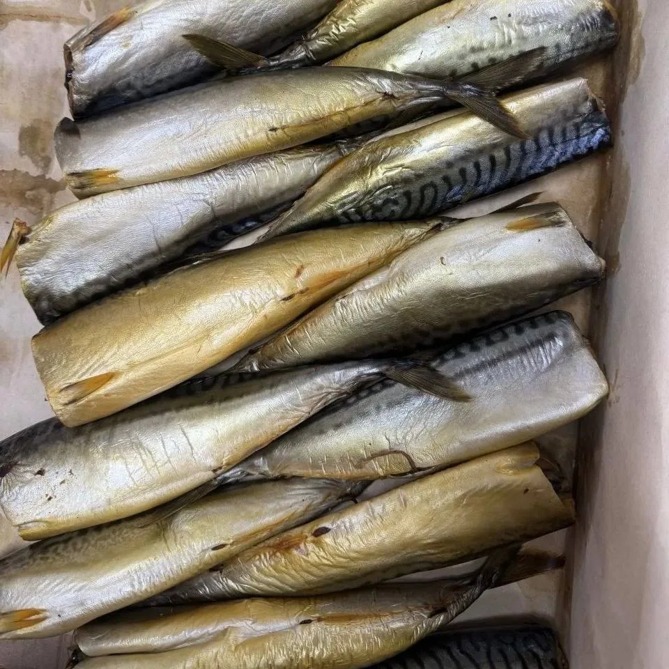 Встречаем поступления в «Когалым Fish»! 💙