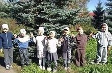 Наблюдение за хвойными деревьями.