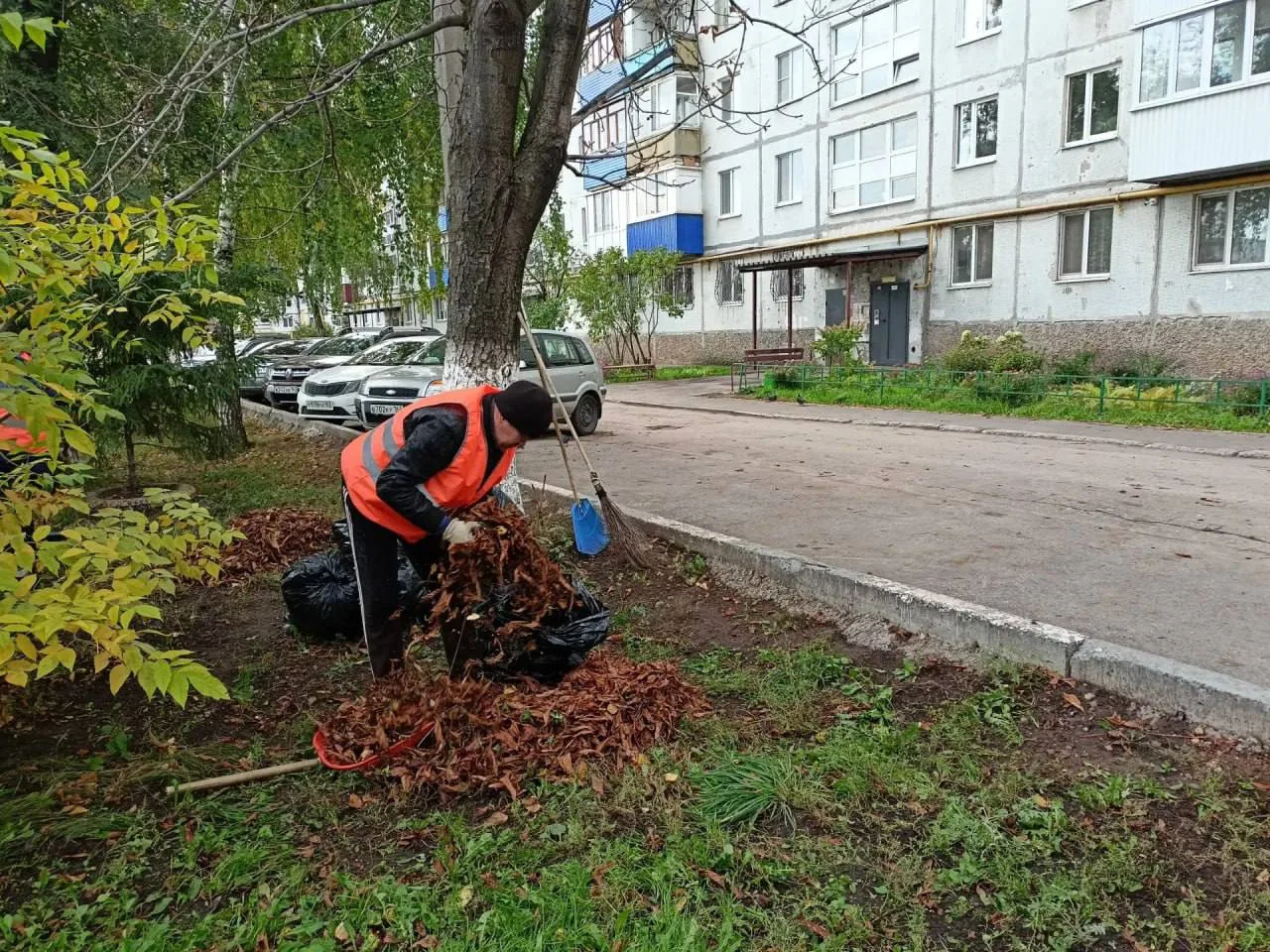 🧹 В Новокуйбышевске продолжают наводить порядок во дворах.