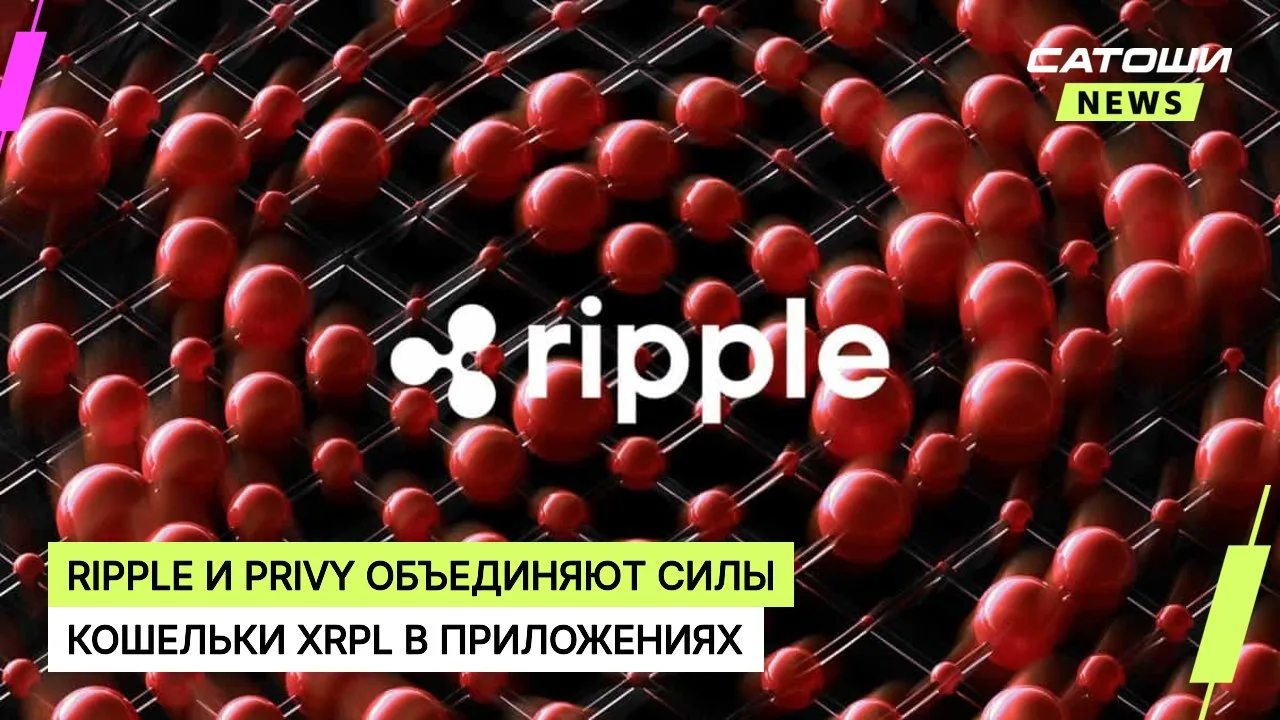 #ripple #xrpl #кошельки