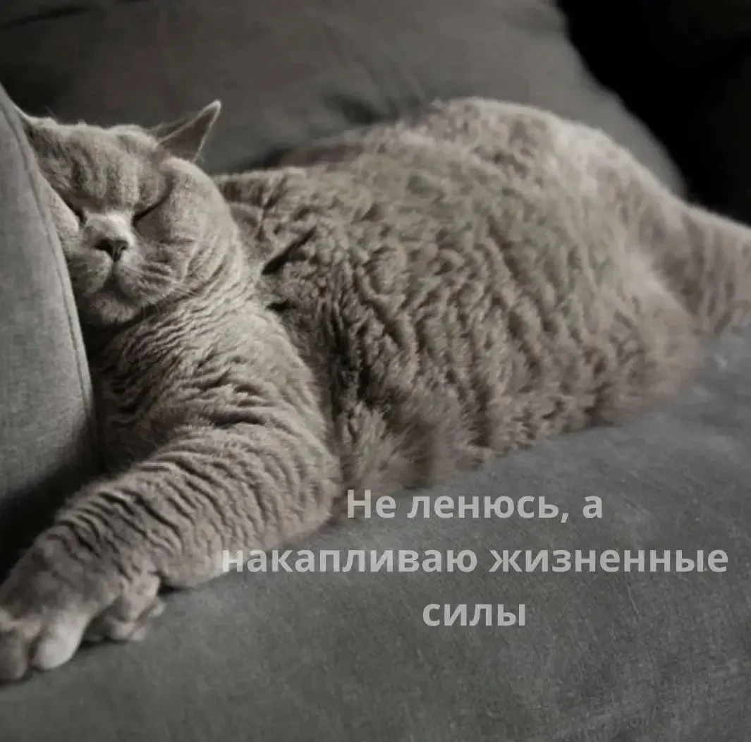 Погода в Петербурге сегодня