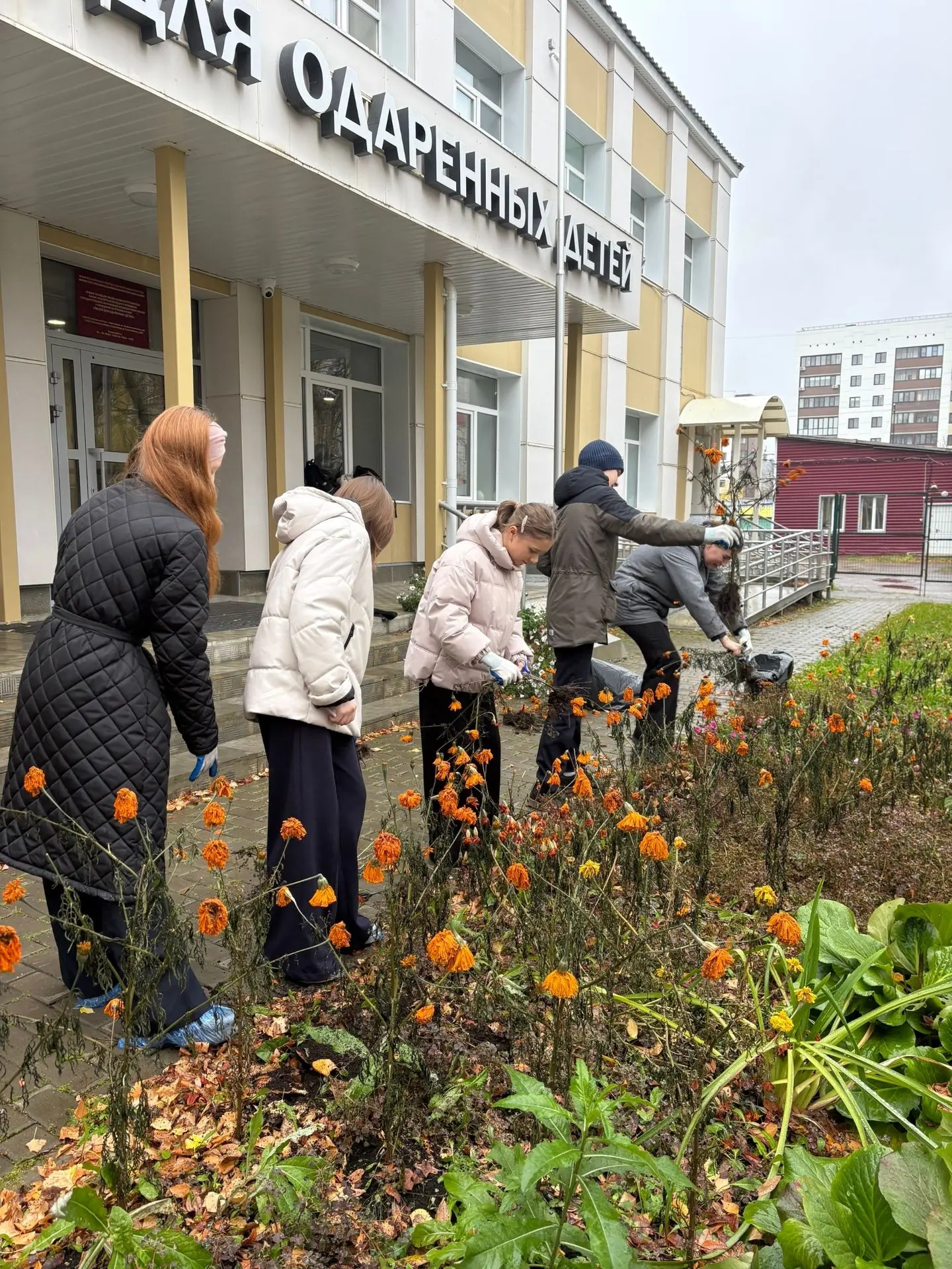 Волонтёры лицея вышли на осенний субботник и привели в порядок грядку: убрали отцветшие...