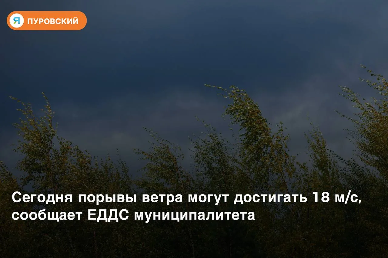 ⚠ Сильный ветер в Пуровском районе не стихает