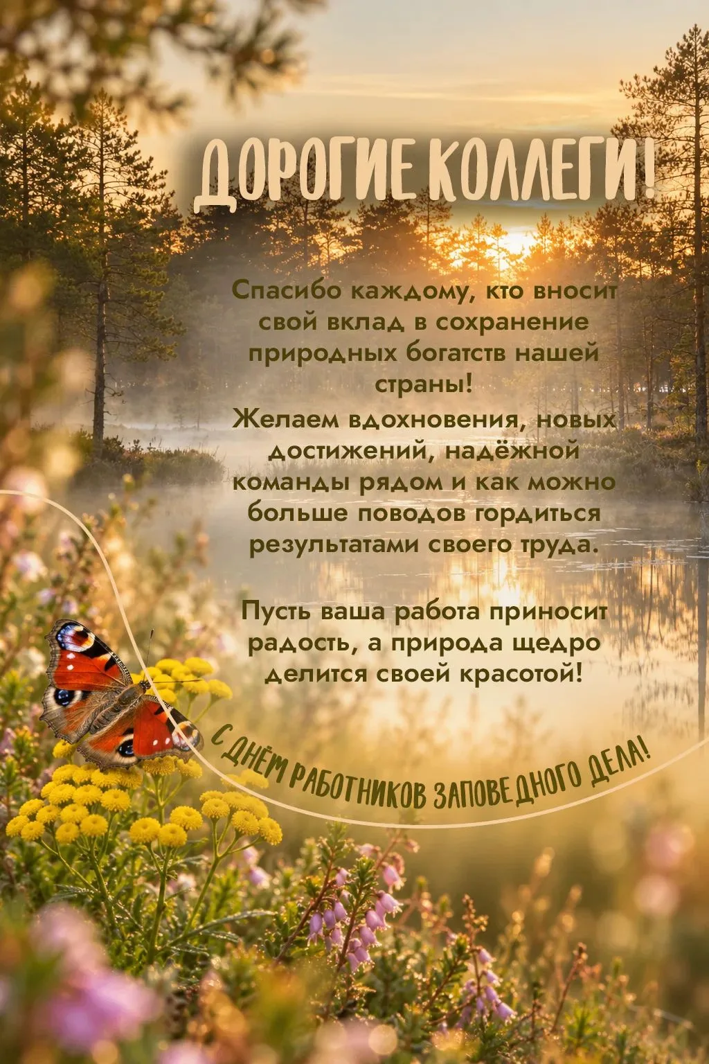 Уважаемые коллеги, дорогие друзья!