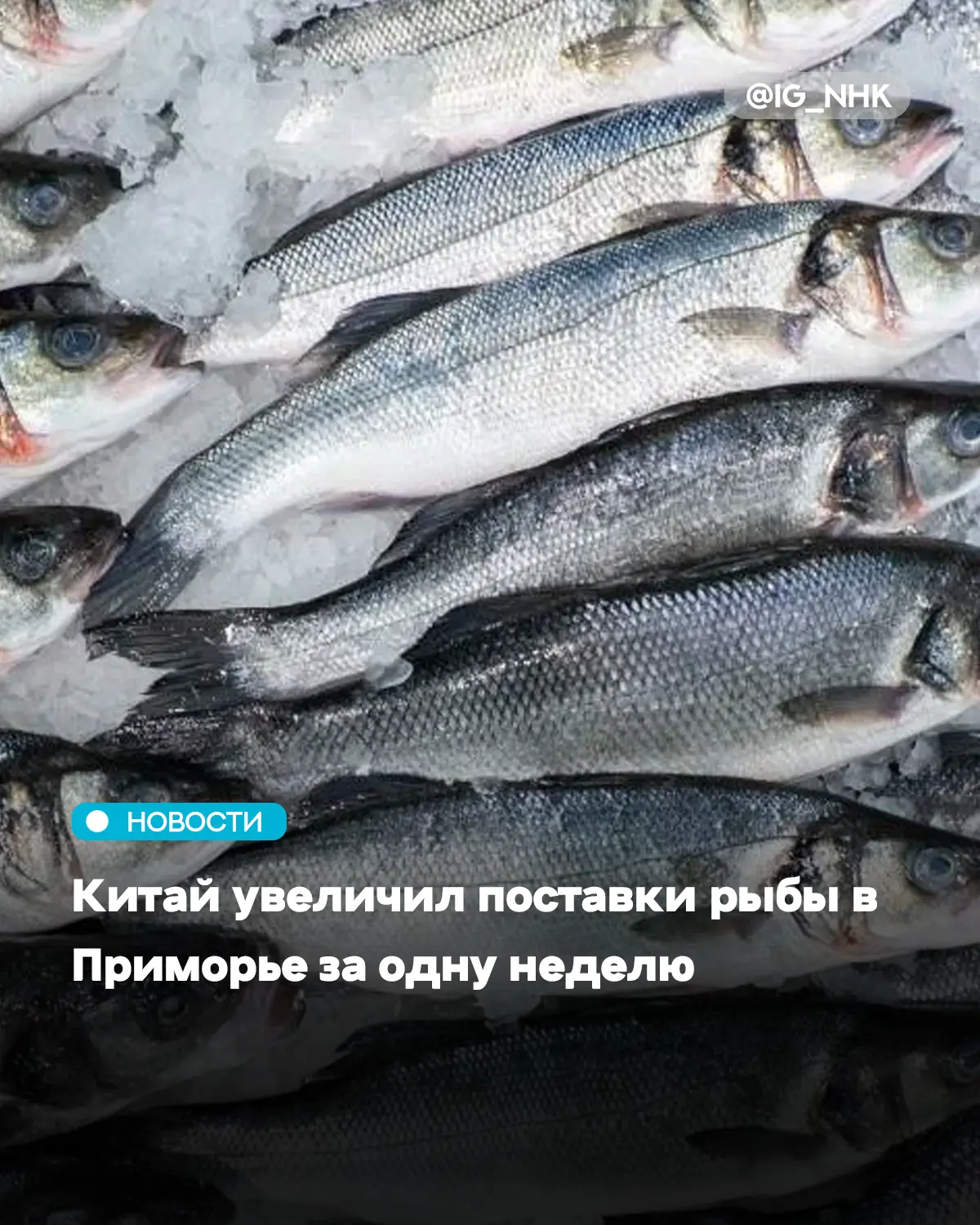 За неделю должностные лица Приморского межрегионального управления Россельхознадзора пр...