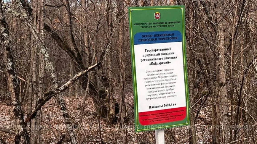 В севастопольском заказнике "Байдарский" хотели построить ангар c удобствами