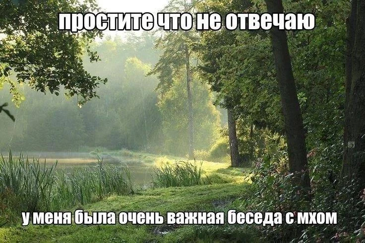 Субботние мемы 😌
