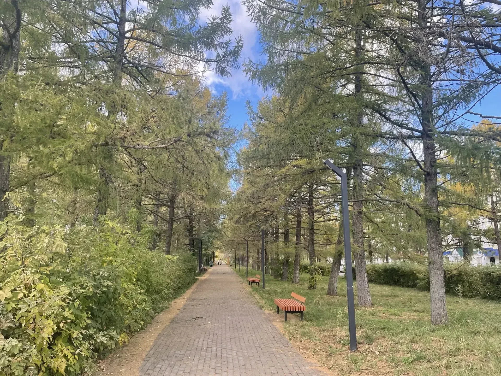 ⛅ Воскресенье в Бугульме будет облачным