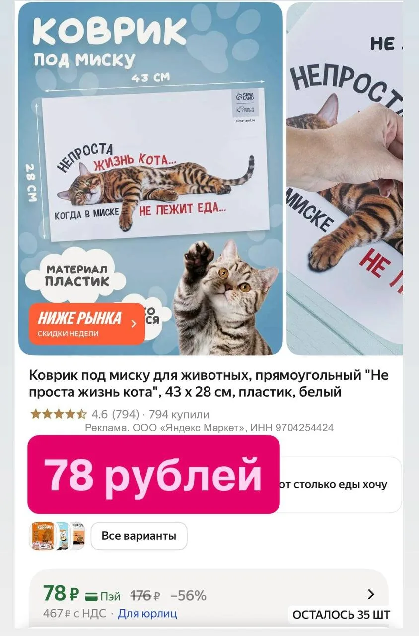 Коврик под миску для животных, прямоугольный "Не проста жизнь кота", 43 х 28 см, пласти...