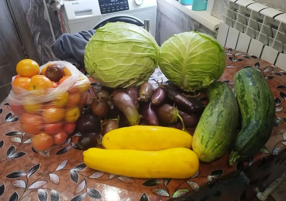 Продам кабачки, цена 100 руб./шт. Петрушка 100 руб./пучок. Баклажаны – 250 руб./кг. Кап...