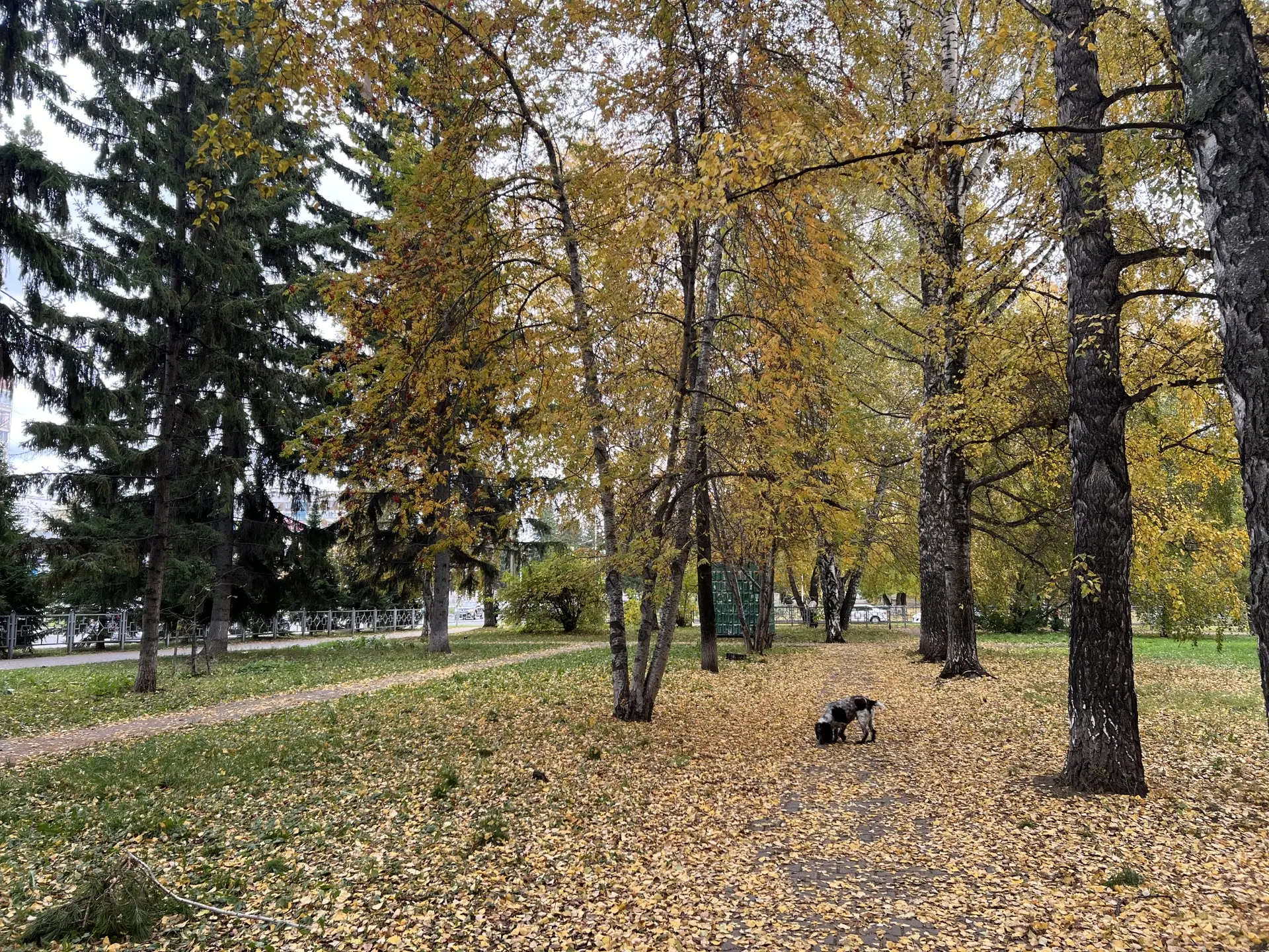 Доброе утро, Бердск! За окном 9 октября, пятница