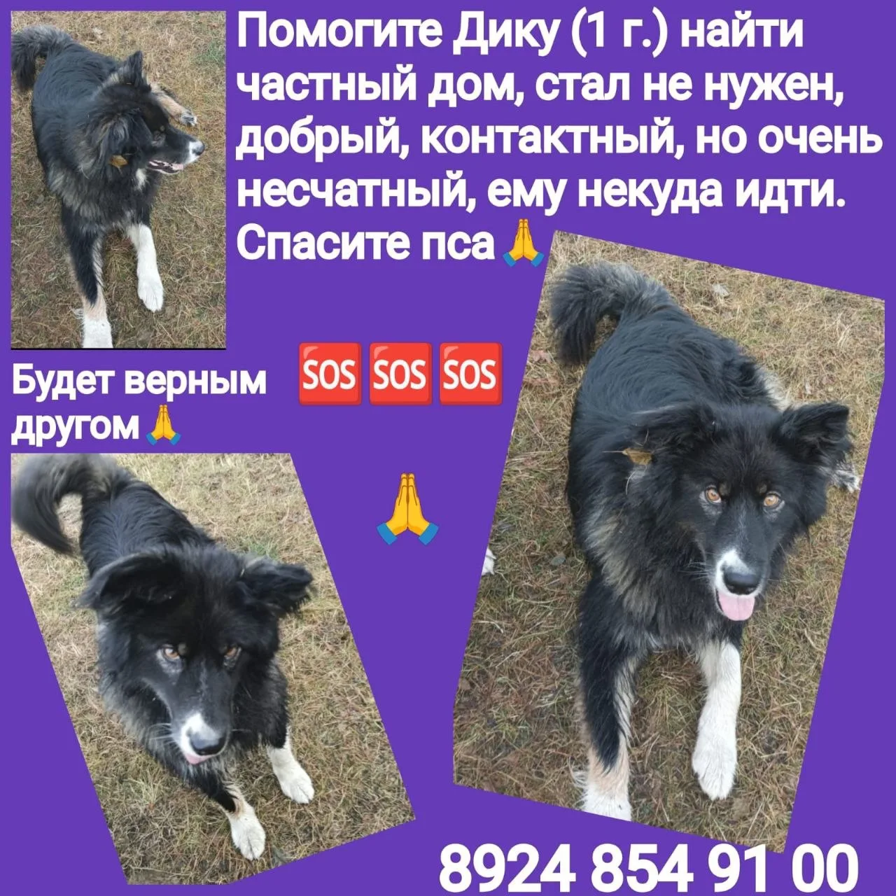 Фото