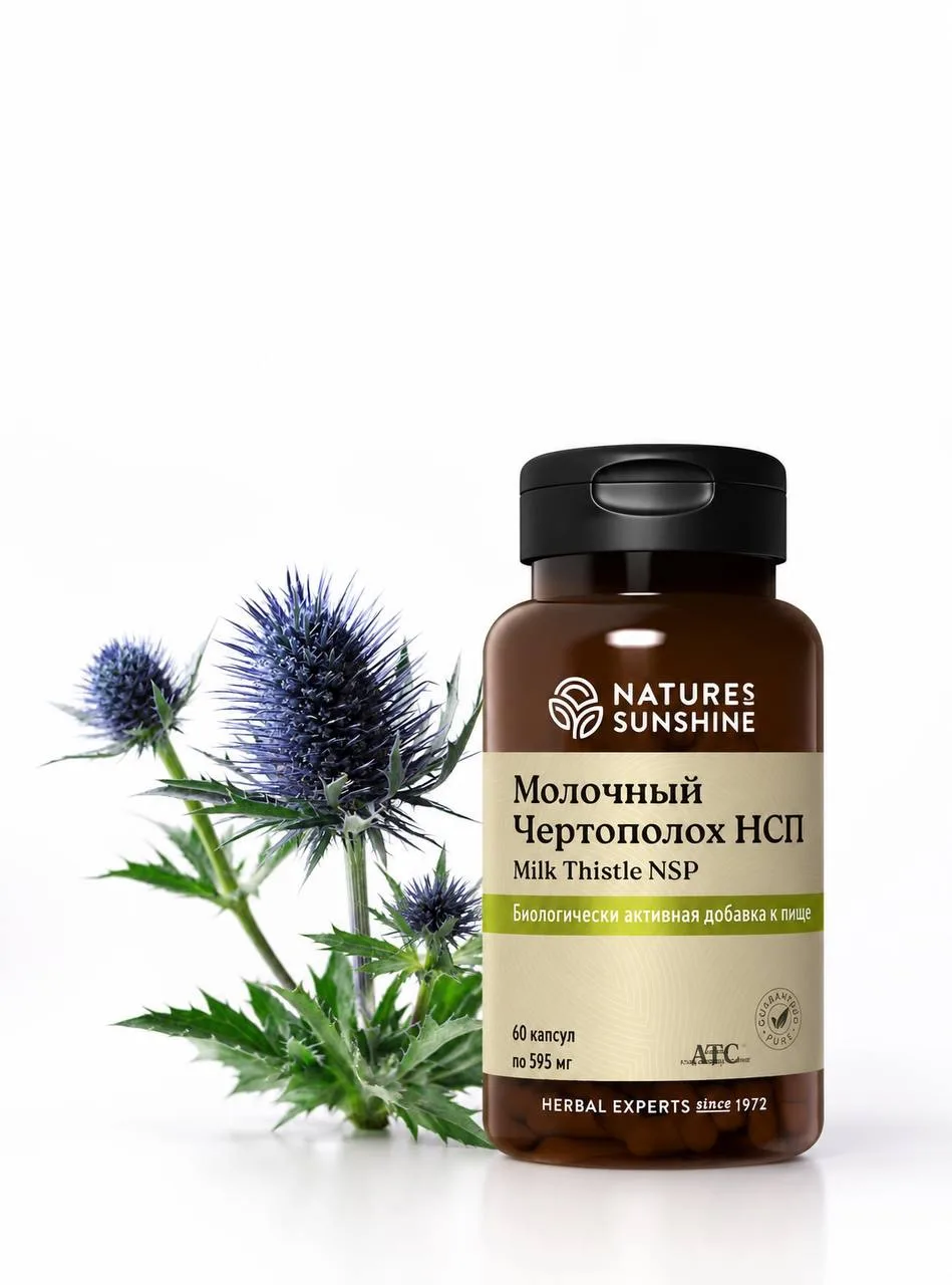 Молочный чертополох NSP — поддержка печени каждый день 🌿