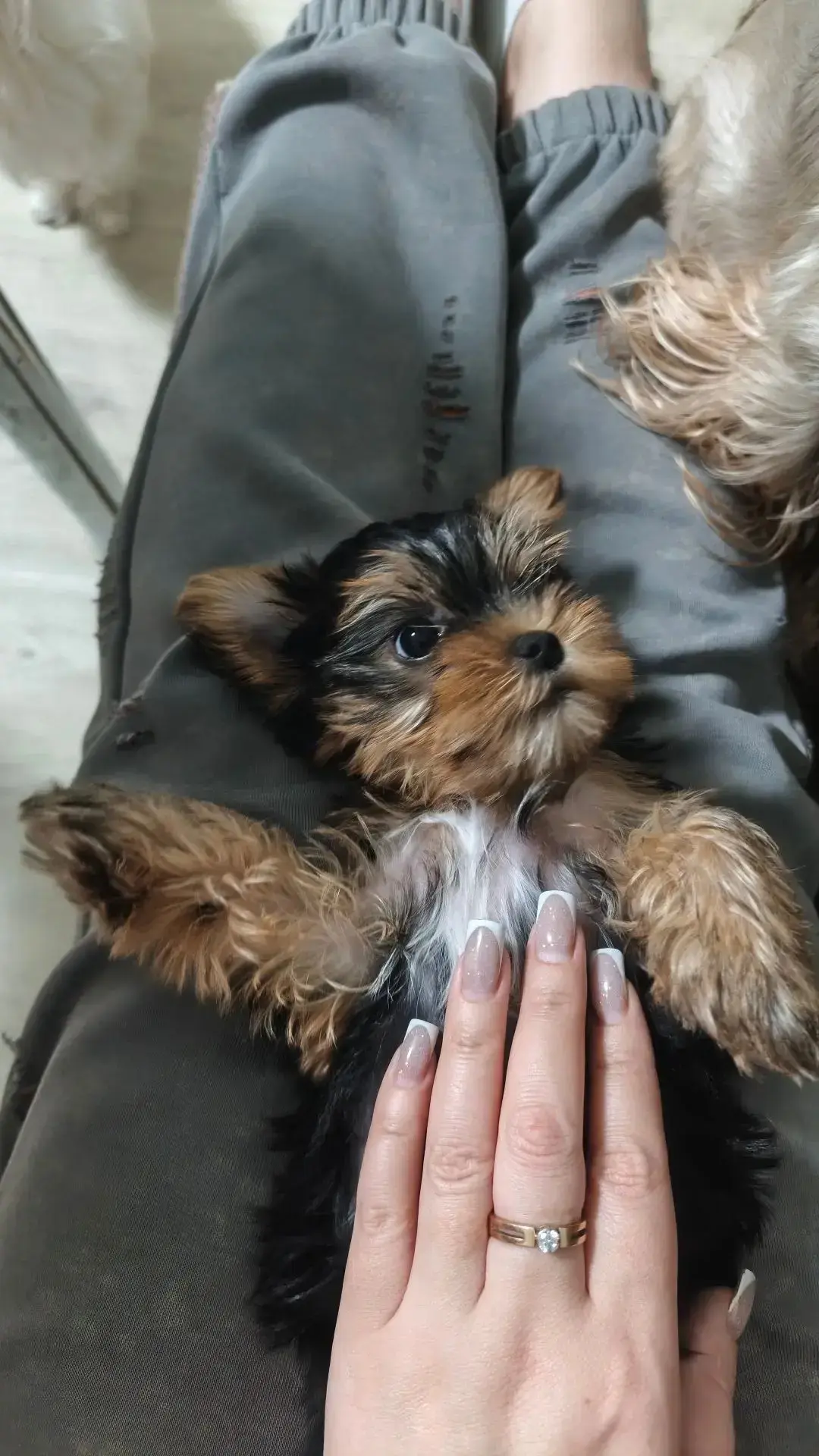 Вот такое у нас пополнения 🩷купила себе красоту 😍для себя