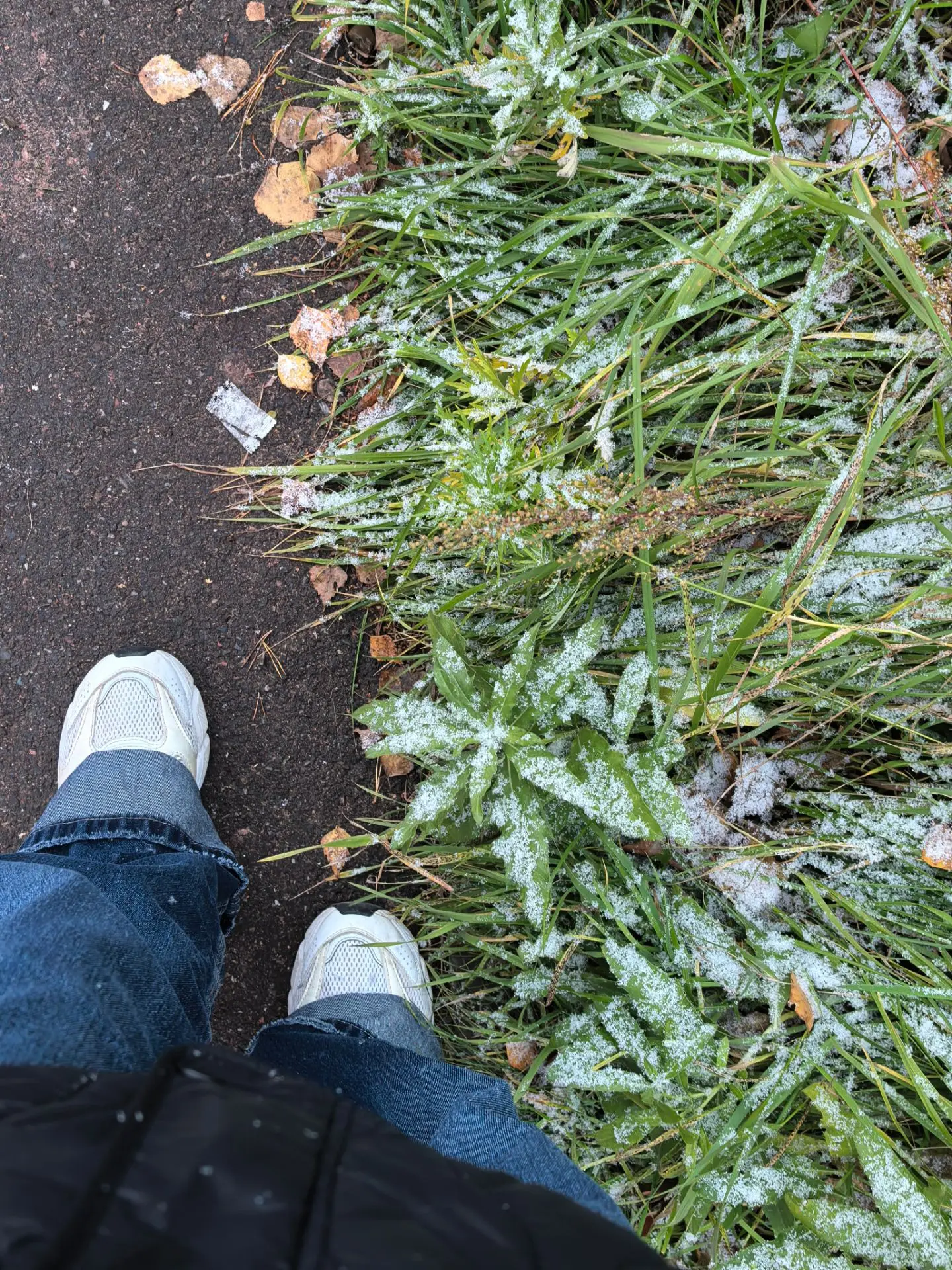 Добрый снежный ❄️