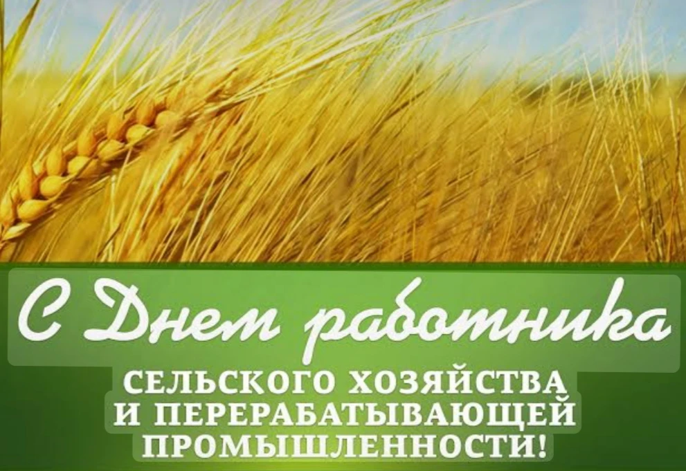 🌾 С праздником, дорогие труженики полей! 🌾