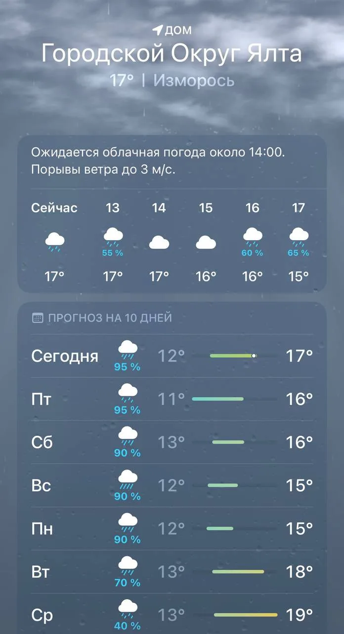 🌧 Дождливая неделя в Ялте — отличный повод для «тихой охоты»! 🍄