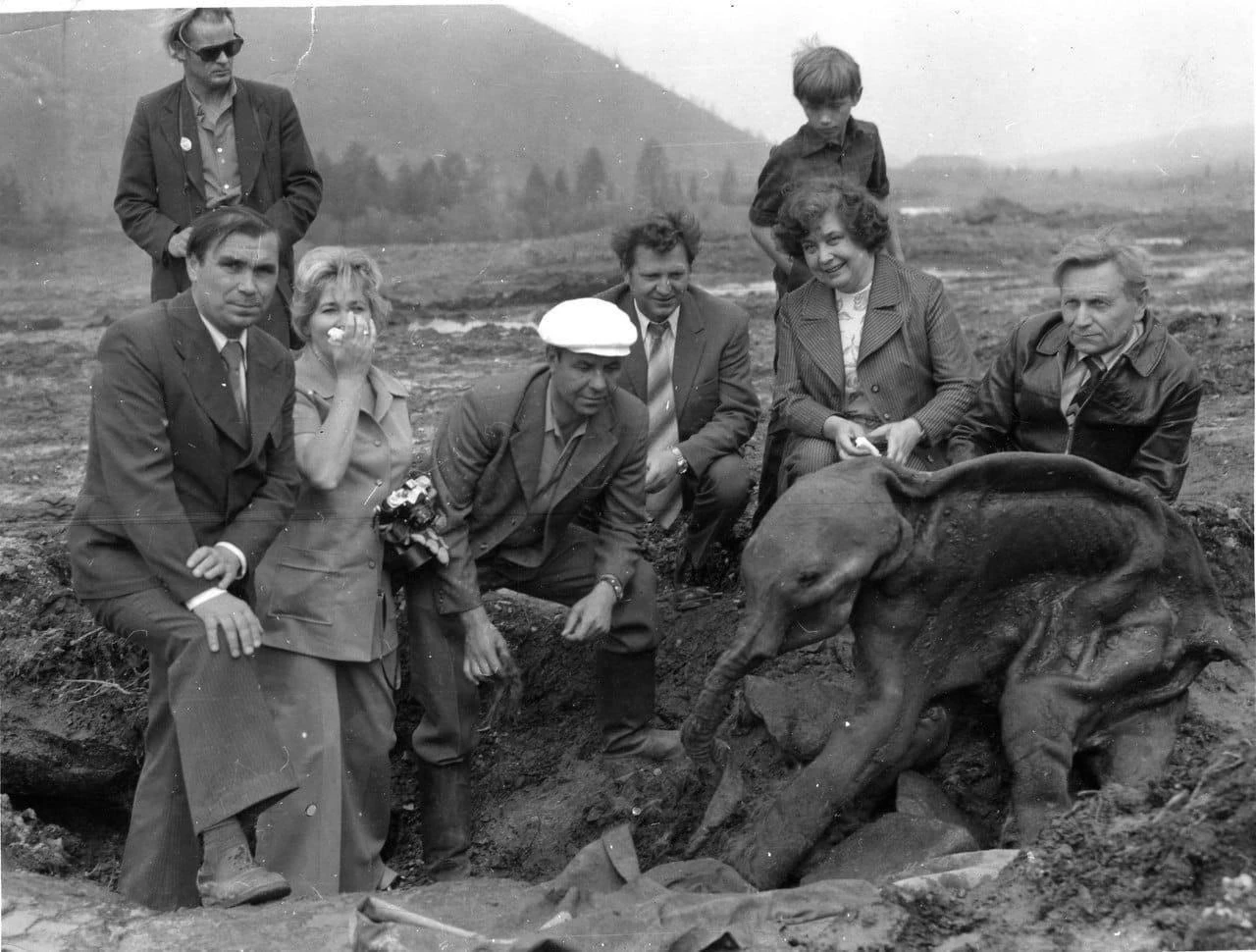 Мамонтёнок Дима, Магаданская область, 1977 год.