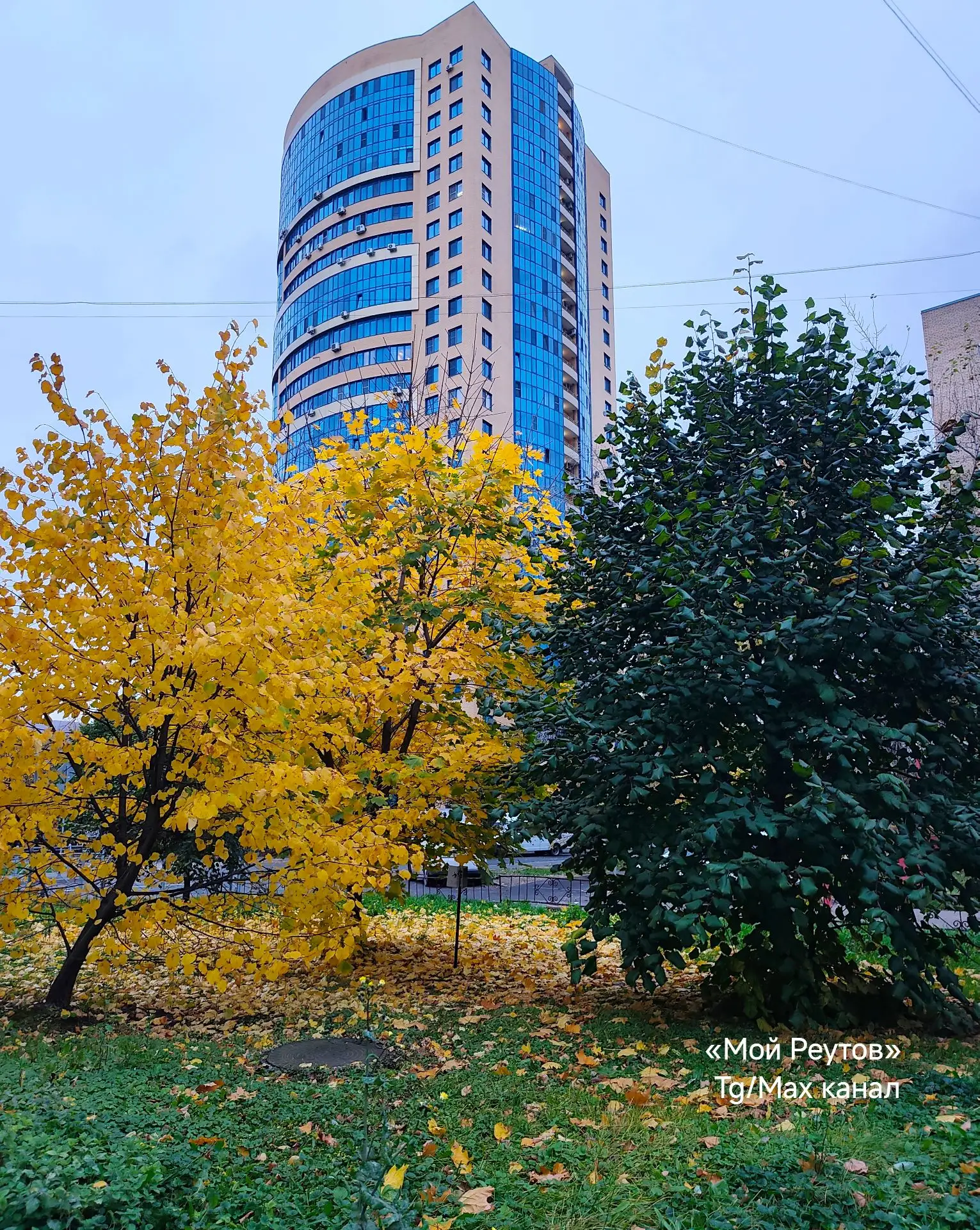 🍁 Контрасты осени в Реутове