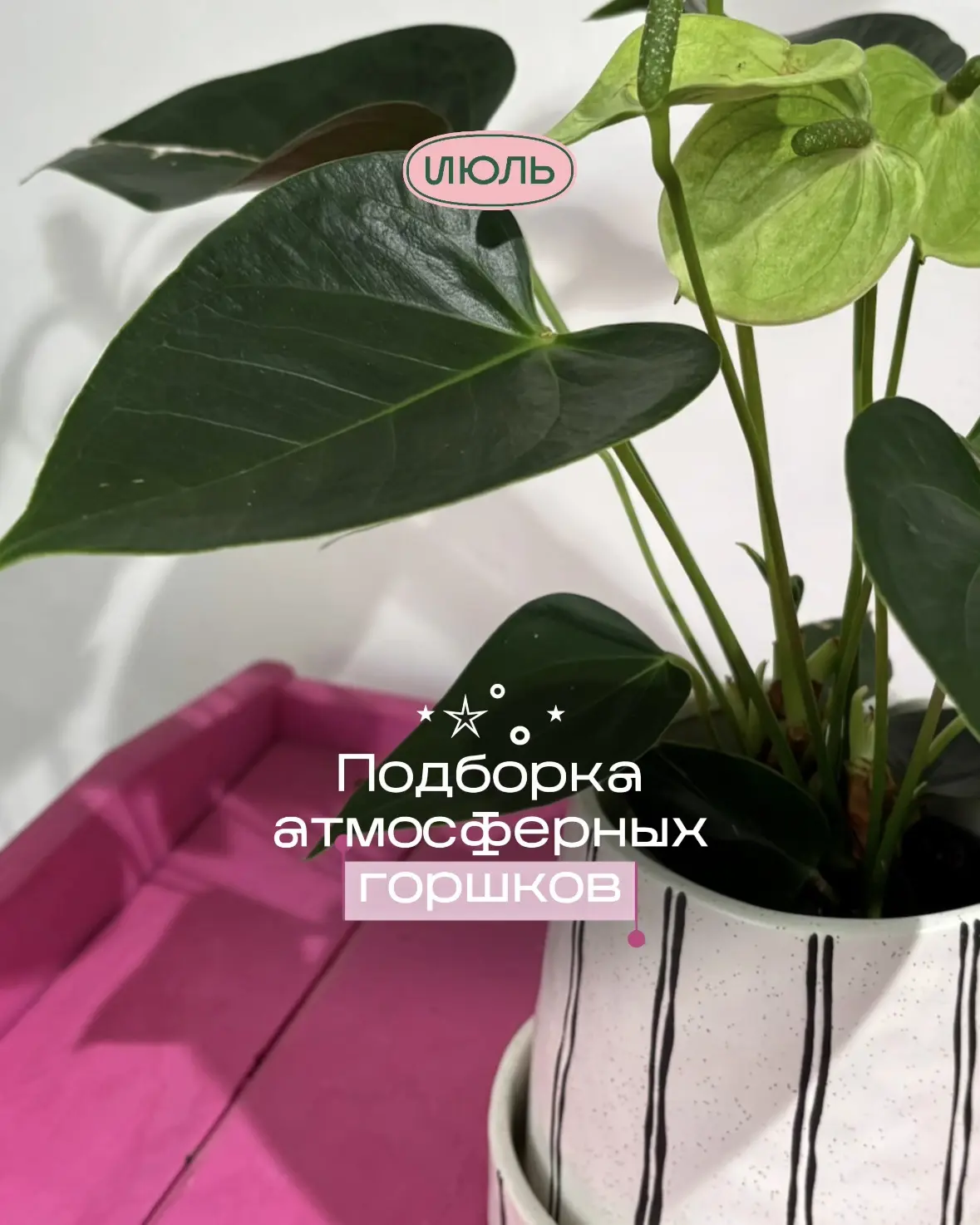 Подборка атмосферных горшков 🪐✨