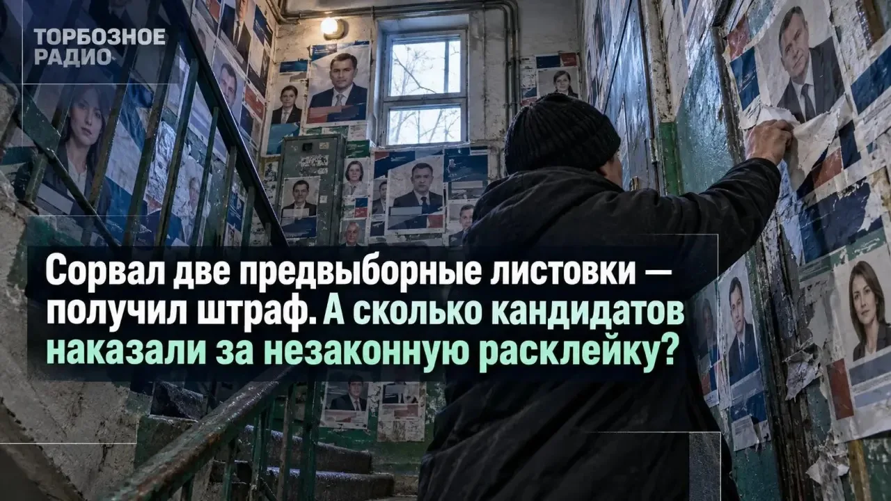 Сорвал две предвыборные листовки — получил штраф. А сколько кандидатов наказали за неза...