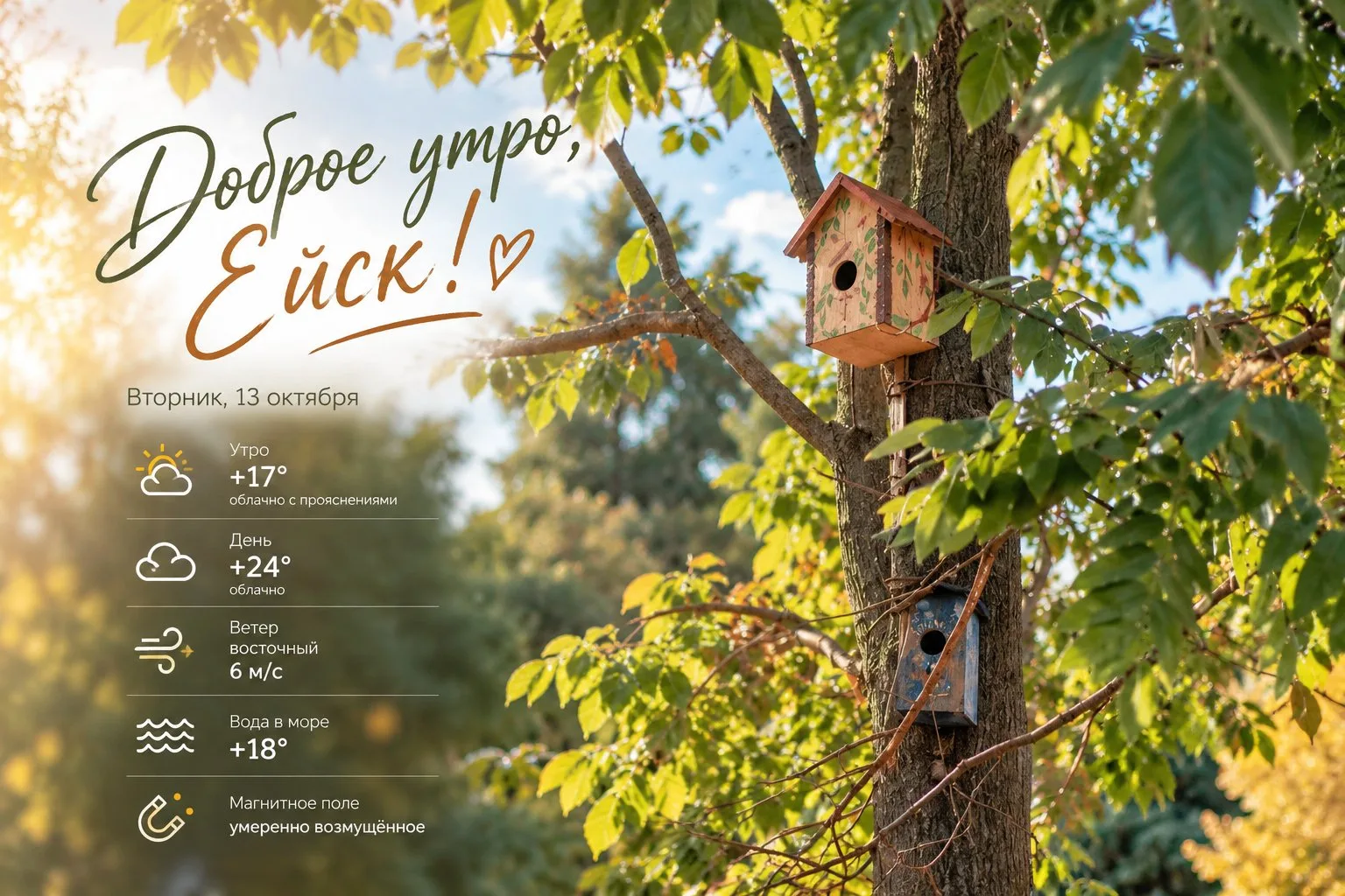 Доброе утро, Ейск! 🌿☀️