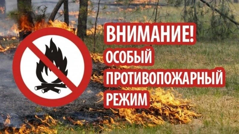 Администрация муниципального района сообщает, что постановлением губернатора Еврейской ...