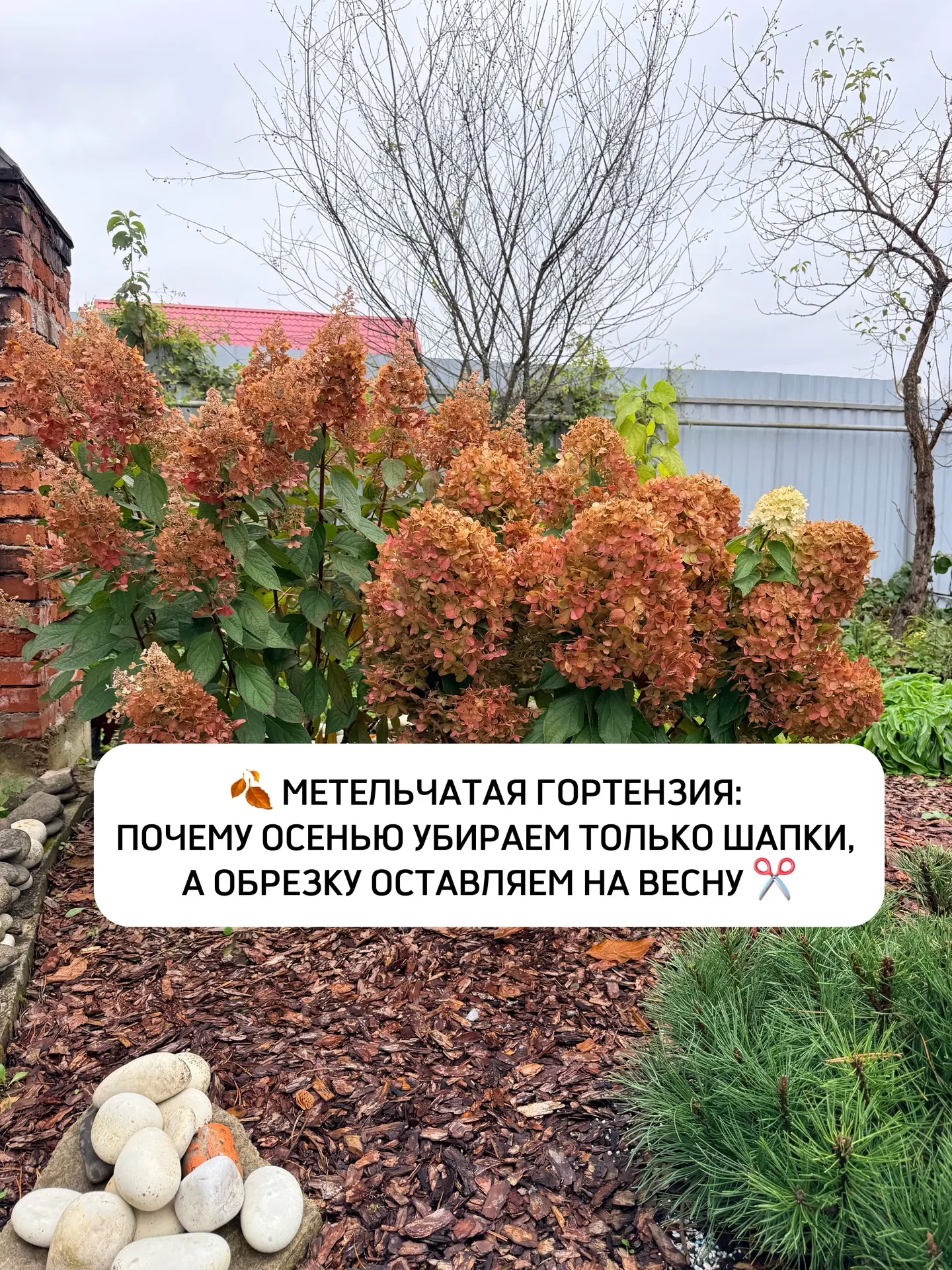 Подробный пост почему осенью а не весной