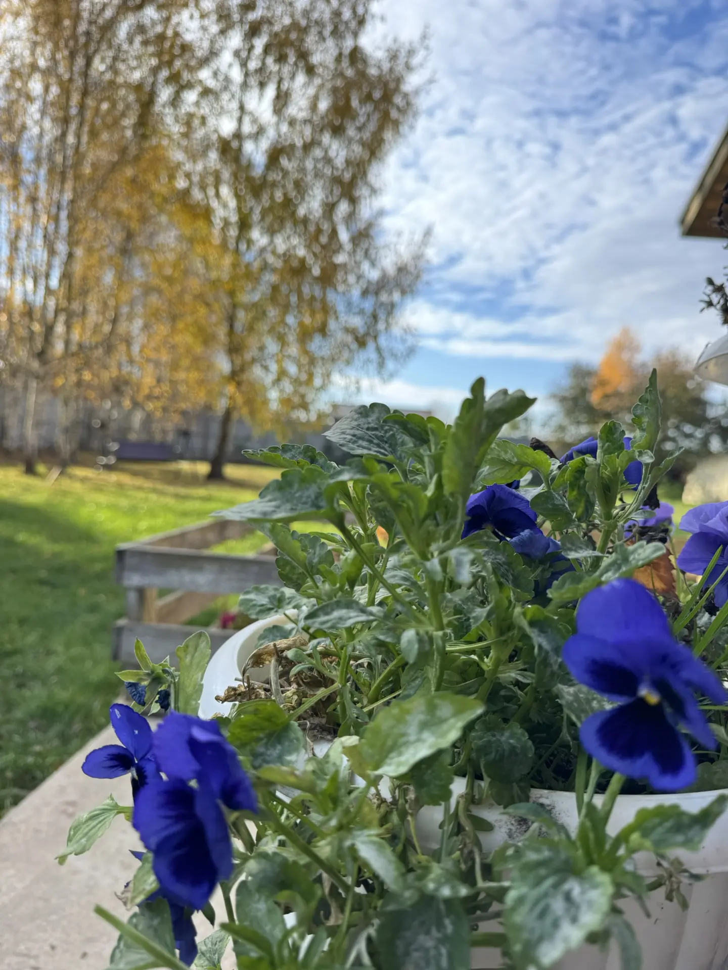 Доброе утро ☀️