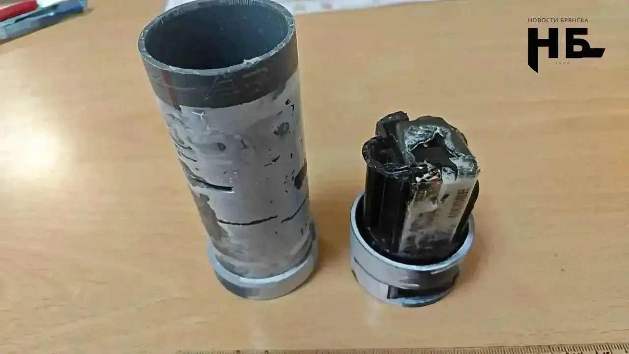 🟥❗️Грибной сезон под угрозой: в приграничных лесах обнаруживают опасные мины