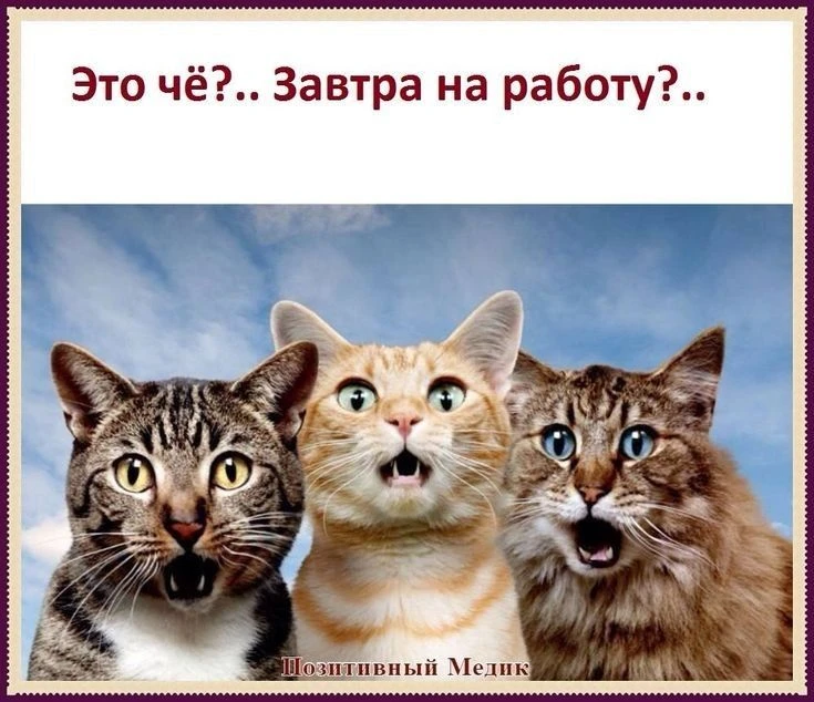 https://max.ru/channel_kartinka_advice
