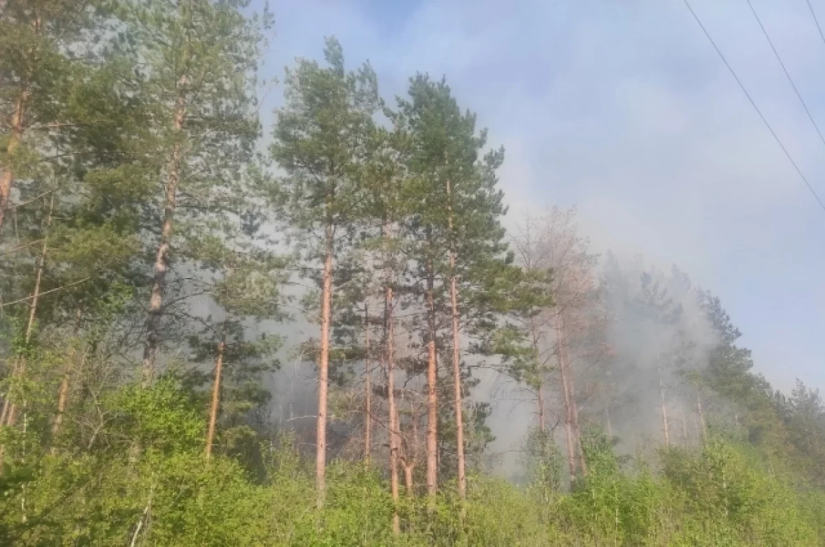 В юго-восточных районах Башкирии сохраняется чрезвычайная пожароопасность
