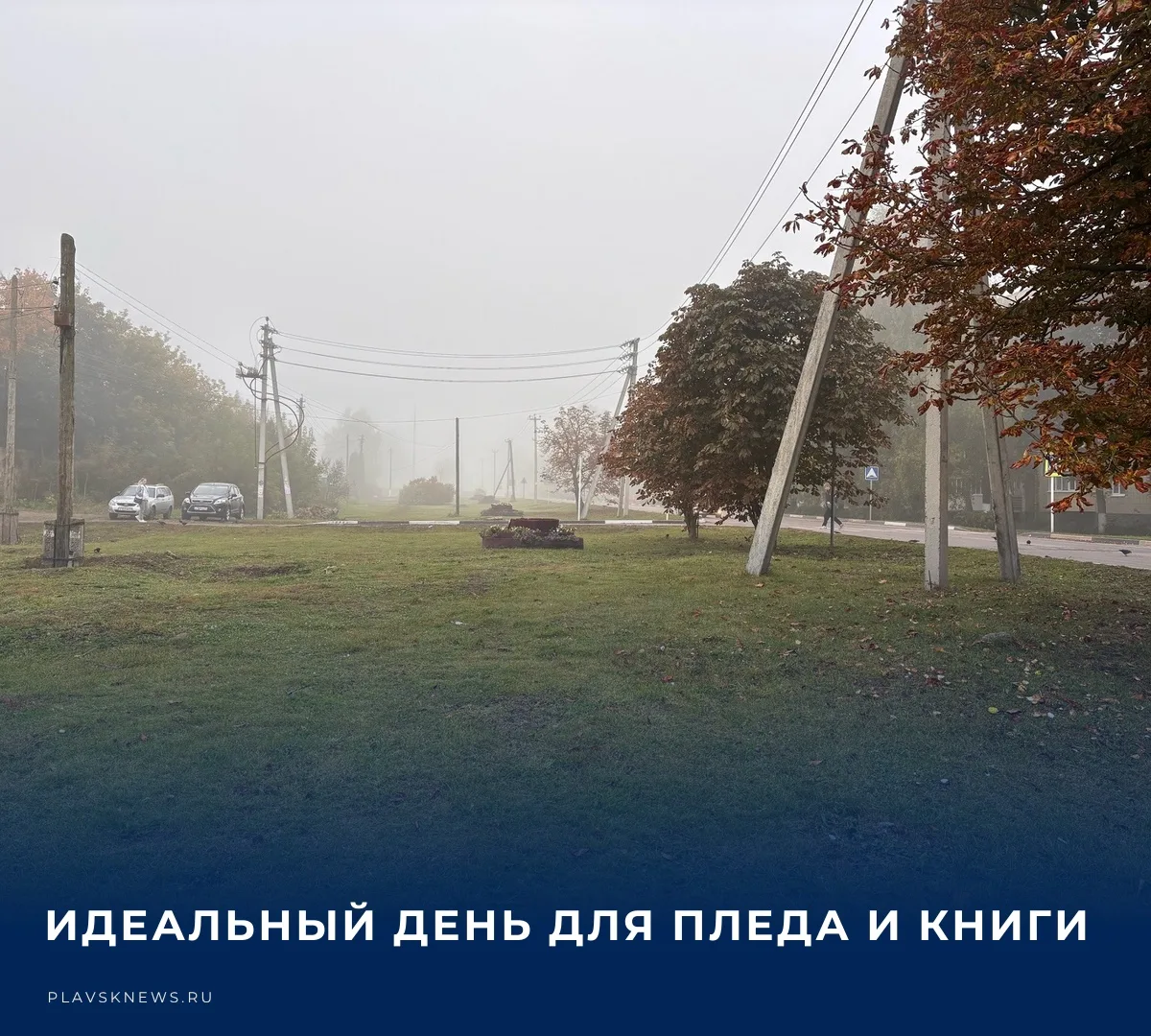 ☁️ 15 октября в регионе ожидается пасмурная погода с дождем и утренним туманом. По данн...