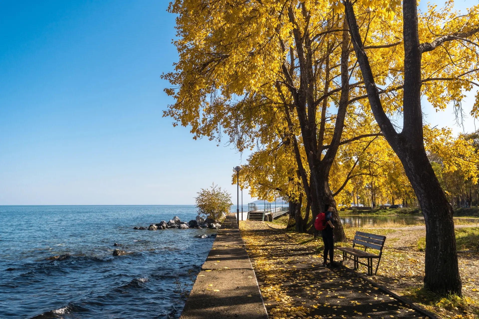 Осень 🍁