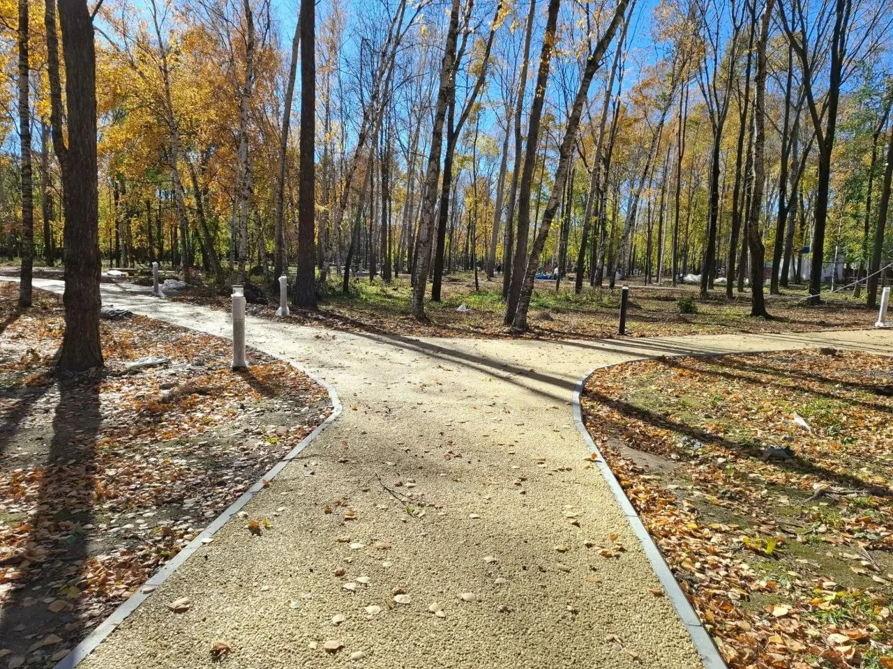 🌳 Парк «Строитель» в Комсомольске становится всё красивее!