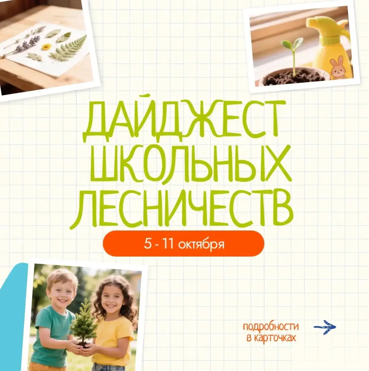 🌿 Яркие моменты и важные дела – в нашем дайджесте школьных лесничеств!