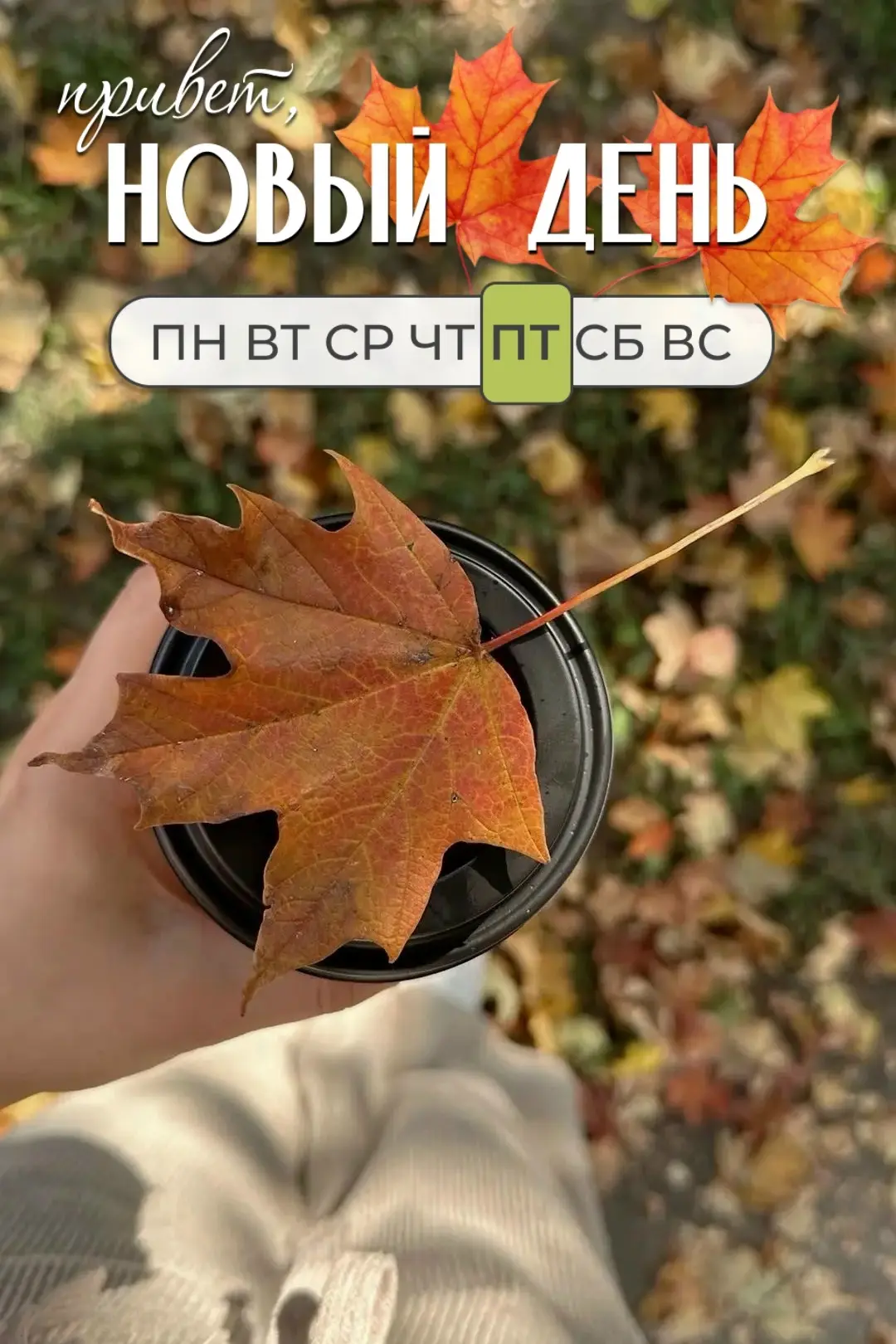 Доброе утро! 🍁